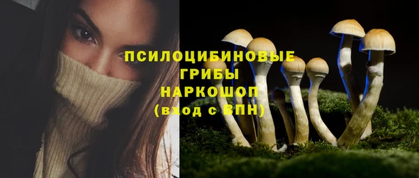 дмт Волосово